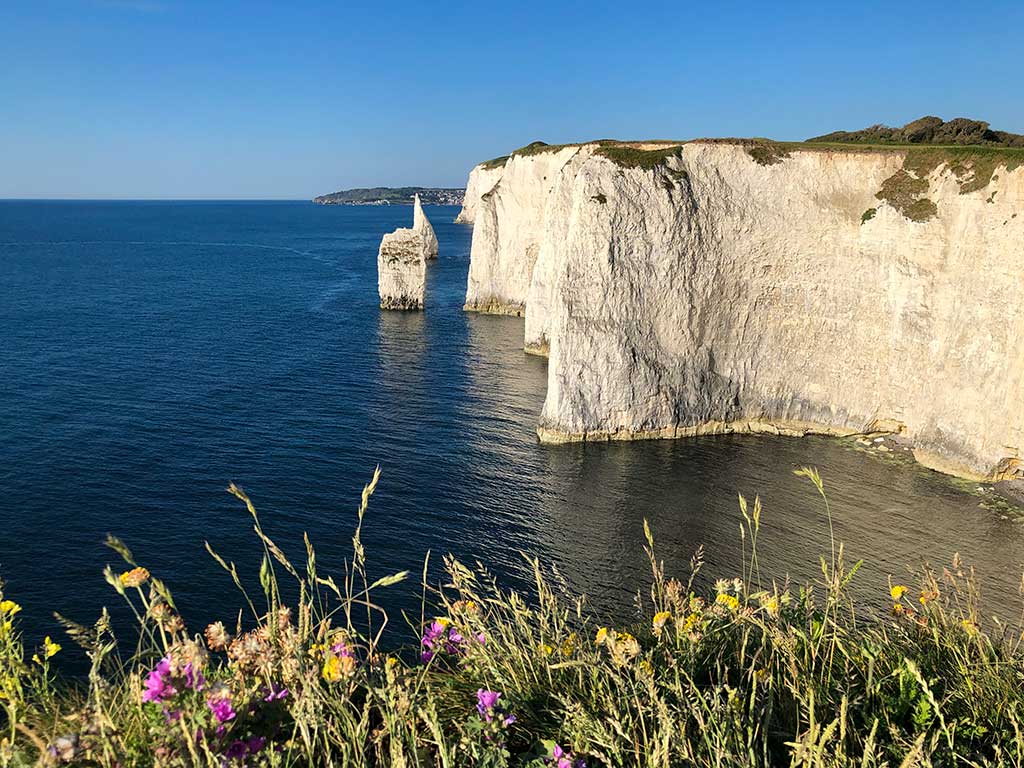 Old Harry Rocks coastline looking towards Swanage