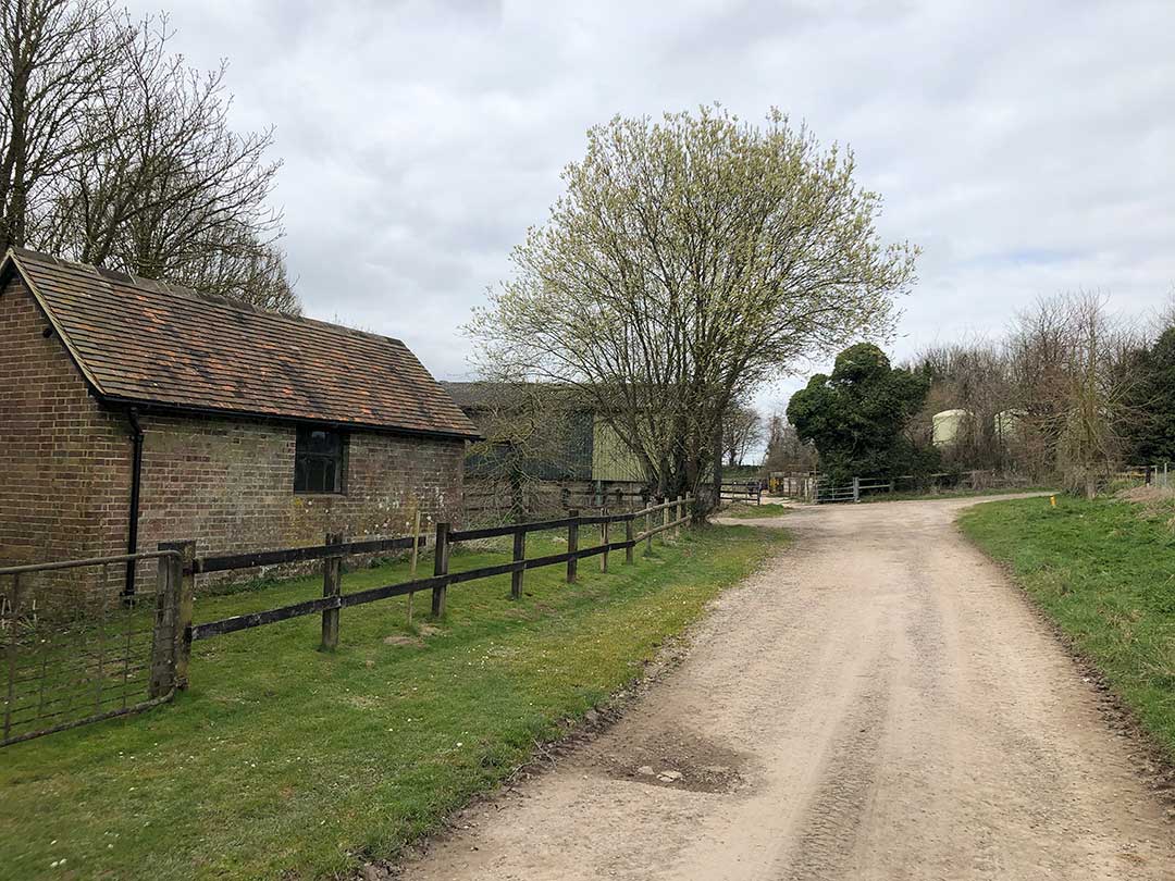 Cranborne Estate Walk Dorset Walks