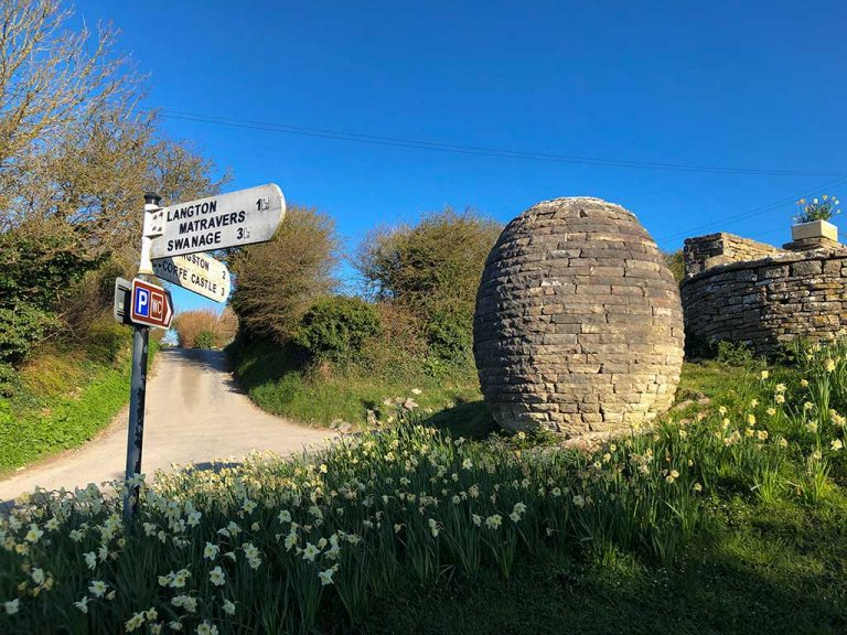 Worth Matravers to St Aldhelms Head Walk