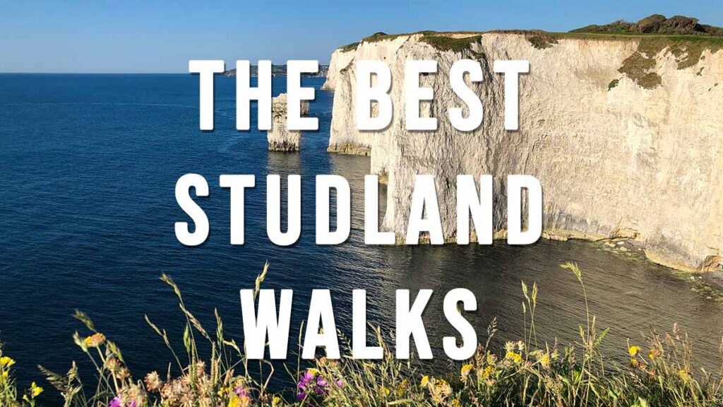 link to the Best Studland Walks post