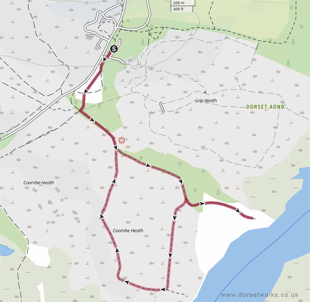 Arne RSPB Coombe Heath Walk 1.9 miles circular