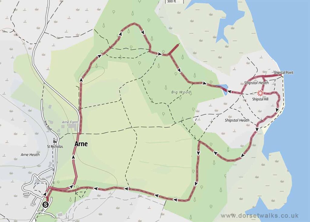 Arne RSPB Red Trail Walk 2.6 miles circular