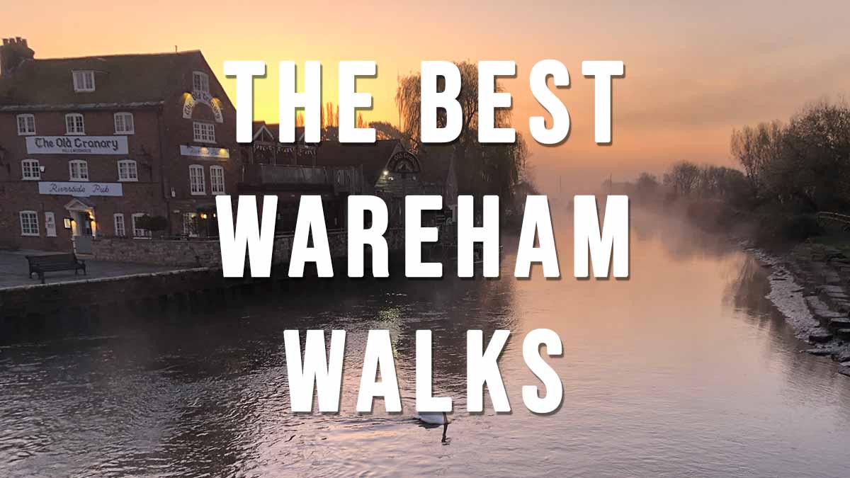 The Best Wareham Walks