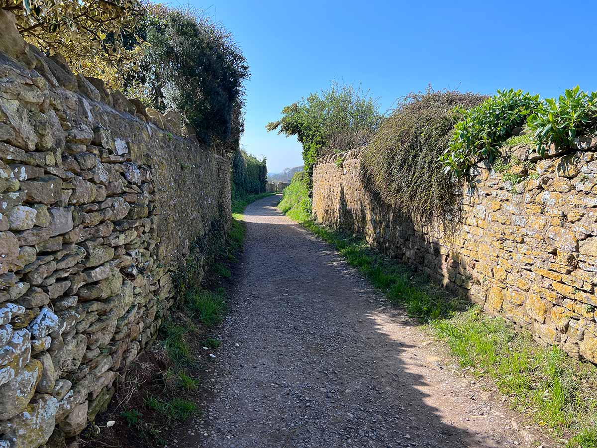 Abbotsbury to St Catherine's Chapel and Chesil Beach Walk