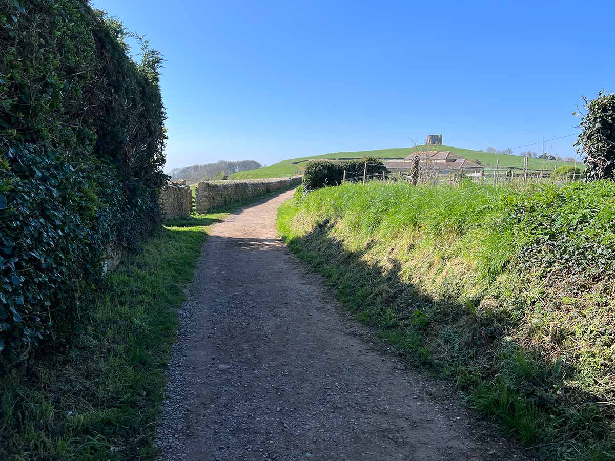 Abbotsbury to St Catherine's Chapel and Chesil Beach Walk