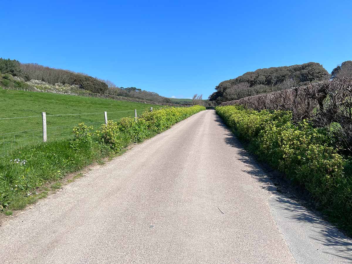 Abbotsbury to St Catherine's Chapel and Chesil Beach Walk