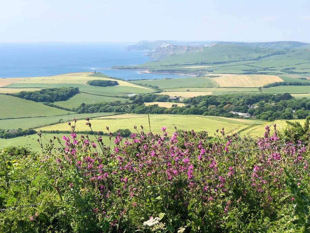 View of Kimmeridge from Swyre Head