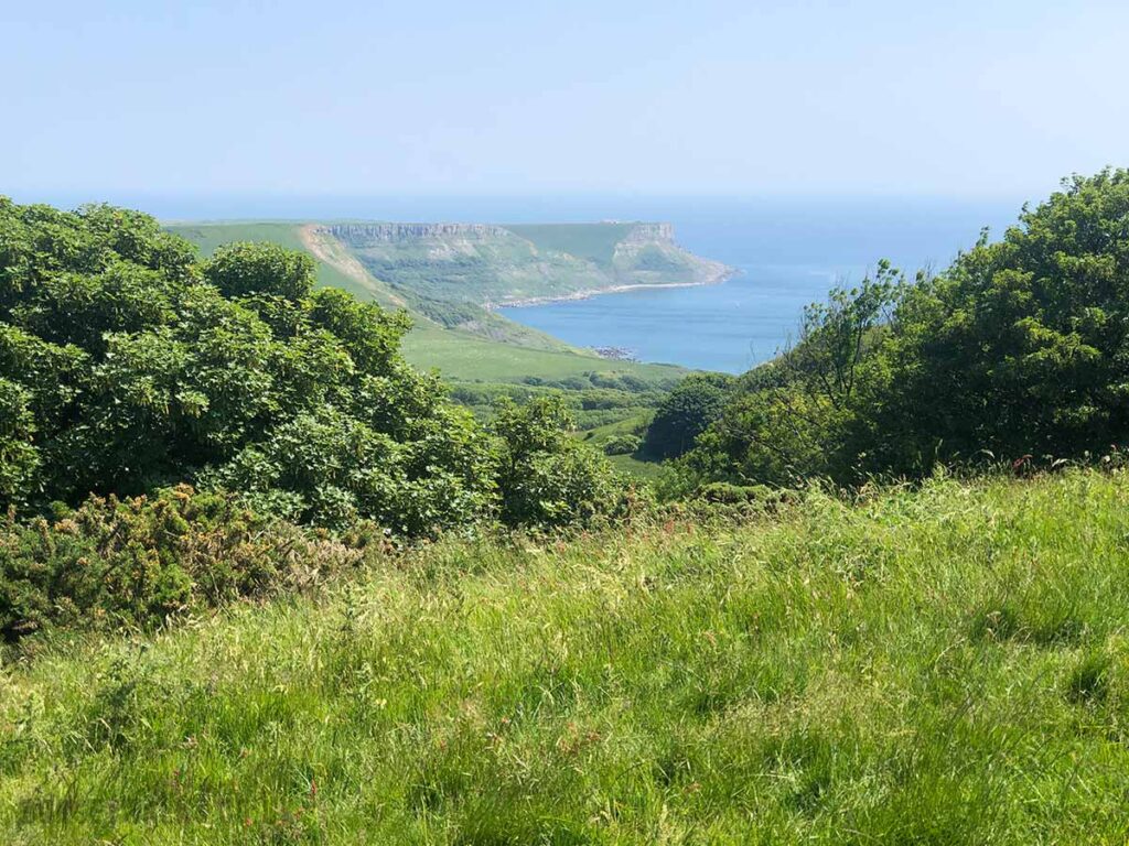 View of St Aldhelm's Head