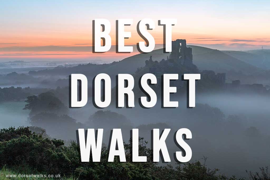 Best Dorset Walks Guide