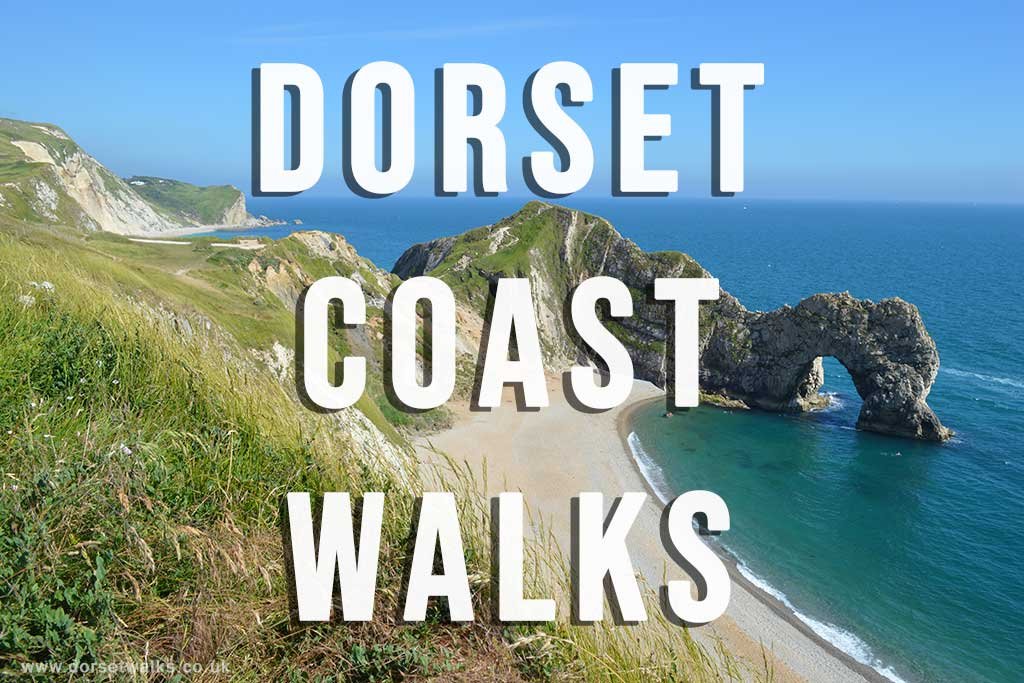 Dorset Coast Walks Guide