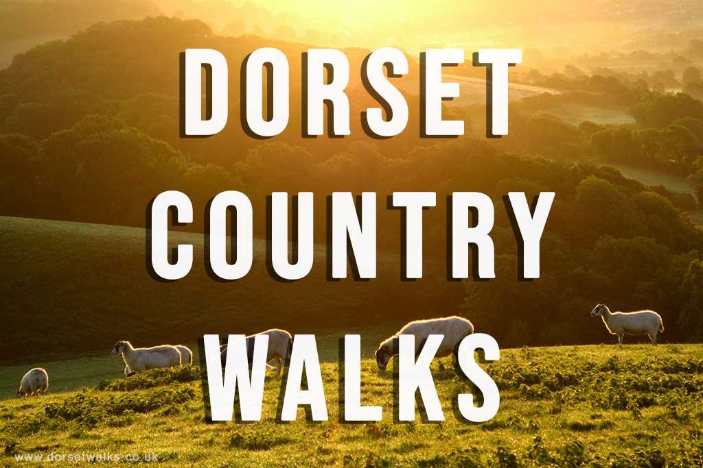 Dorset Country Walks Guide