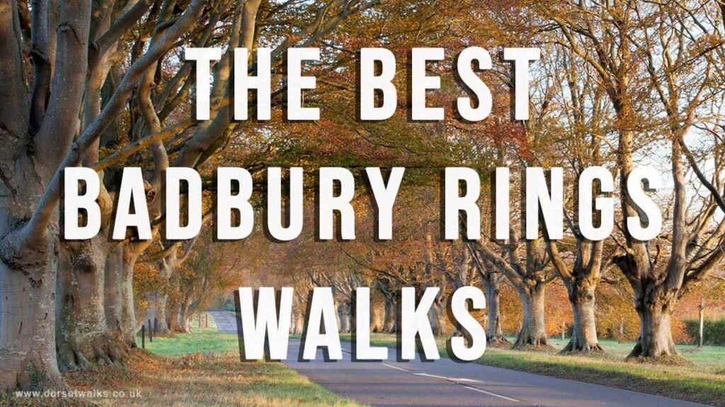 Guide to the Best Badbury Rings Walks