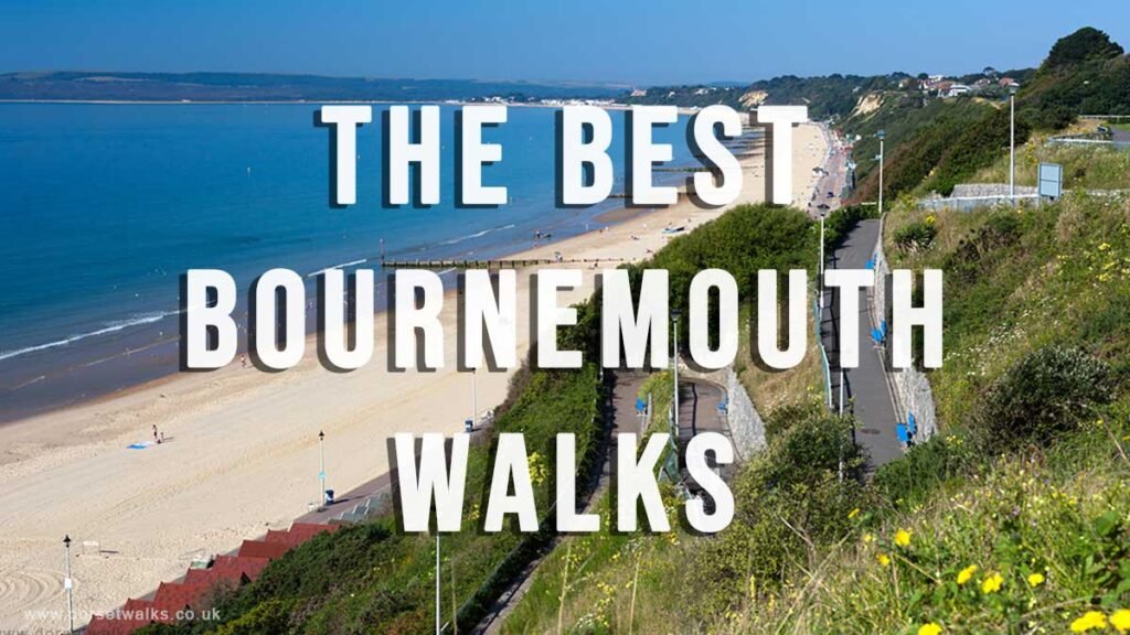 Guide to the Best Bournemouth Walks