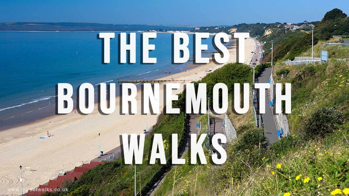 Guide to the Best Bournemouth Walks